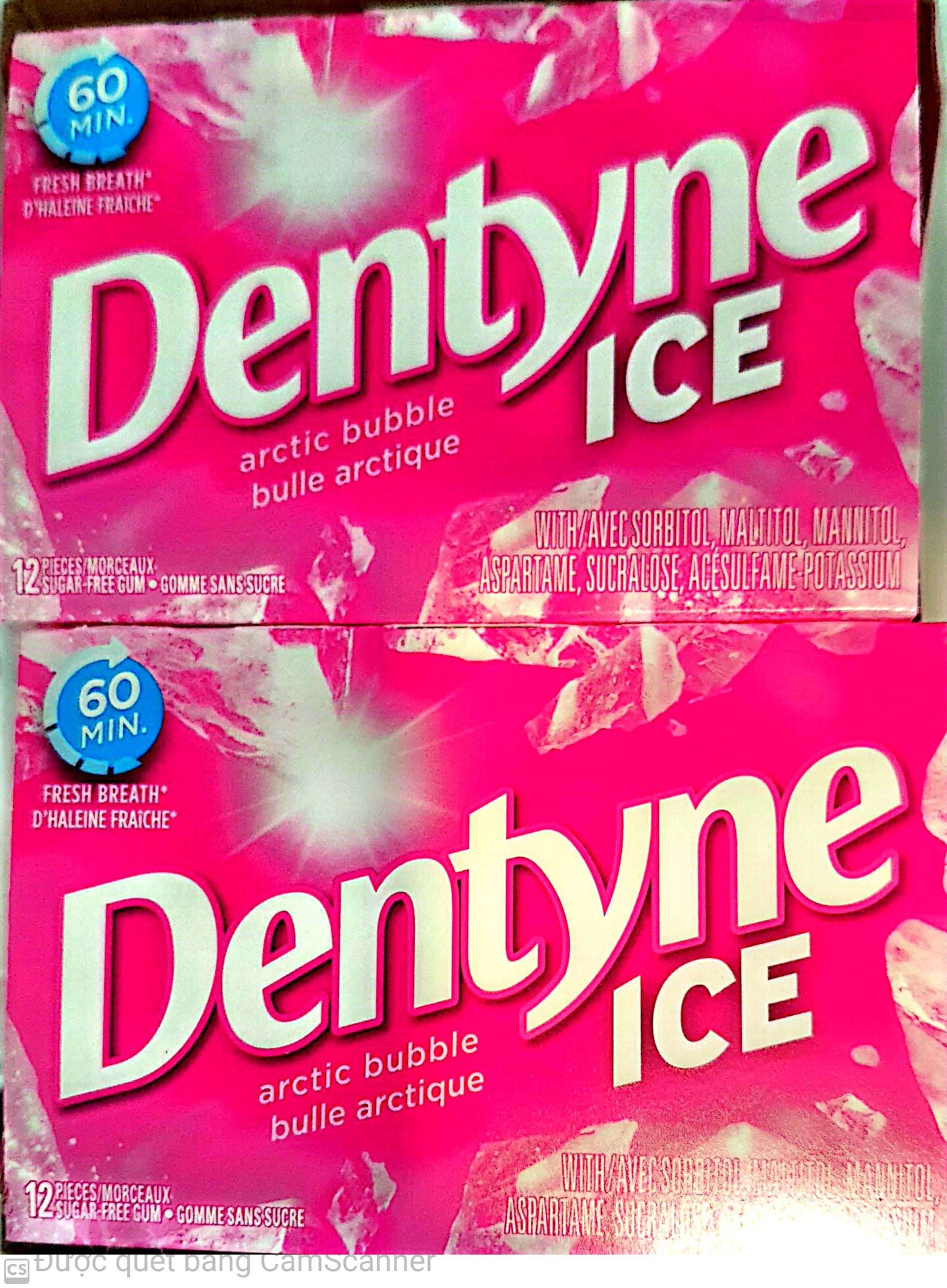 Dentyne ice Arctic Bubble (12/box)