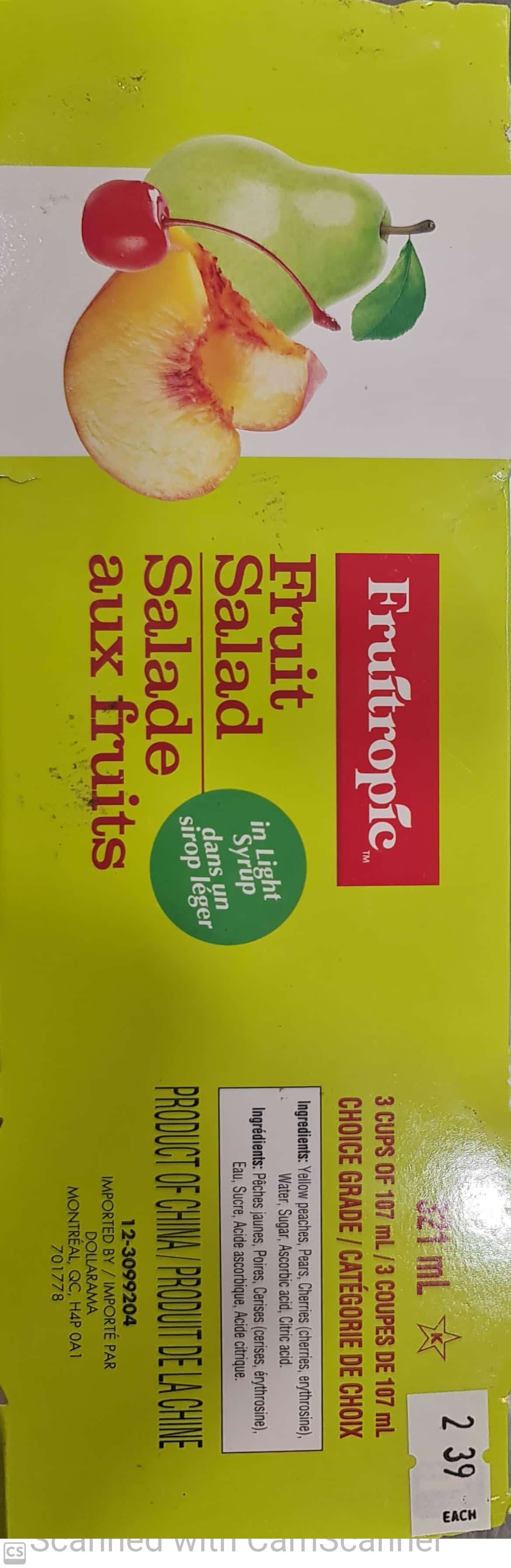 Fruitropic Fruit Salad 321ml (3 cups)