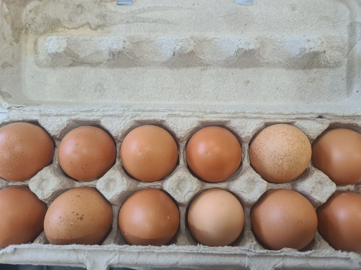 Farmer egg 12
