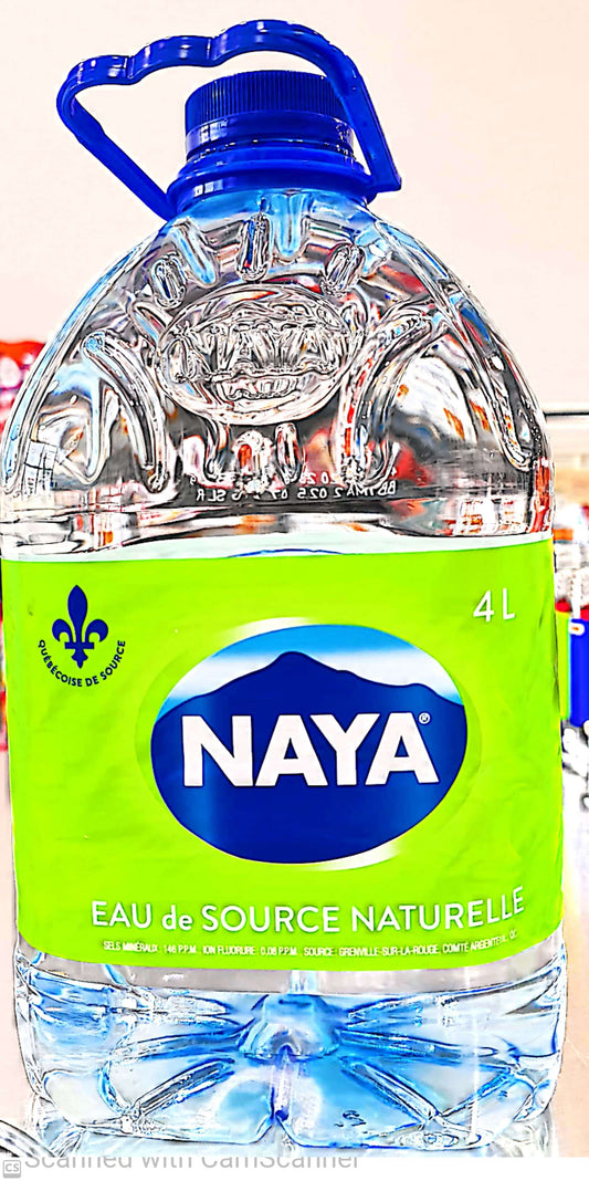 Nanya water jug 4L